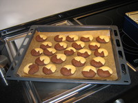 Aufnahmedatum: 2008-02-29 ©mars Bild