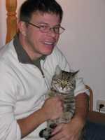 Hauskatze Felix