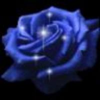 blaue Rose