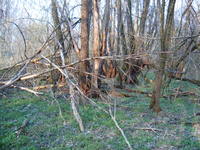nach dem sturm