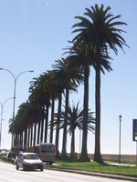 Aufnahmeort: SCL Aufnahmedatum: 2006-09-03 ©by me Miami???