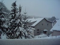 Aufnahmeort: @home Aufnahmedatum: 2002-01-01 ©by me aus dem Wohnzimmer raus ;)