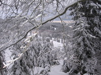 Aufnahmeort: S.-H. Aufnahmedatum: 2006-02-09 ©by me genial...