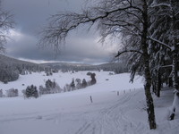 Aufnahmeort: S.-H. Aufnahmedatum: 2006-02-09 ©by me Bild