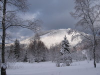 Aufnahmeort: S.-H. Aufnahmedatum: 2006-02-09 ©by me der Hermannsberg