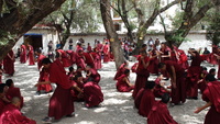 Debattierende Mönche im Sera Kloster