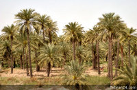 ABADAN