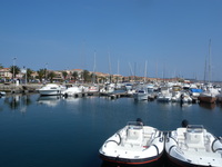 Aufnahmeort: Sardegna Aufnahmedatum: 2010-04-26 ©mars Palau