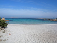 Aufnahmeort: Sardegna Aufnahmedatum: 2010-04-30 ©mars Bild