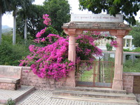 Aufnahmeort: Indien Aufnahmedatum: 2007-11-09 ©mars ..