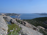 Aufnahmeort: Sardegna Aufnahmedatum: 2010-04-26 ©mars Bild