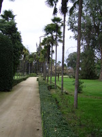 Aufnahmeort: SCL Aufnahmedatum: 2006-09-03 ©by me Karibik???