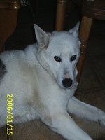 Aufnahmeort: @home Aufnahmedatum: 2006-01-15 ©by me Meine Allerliebste...