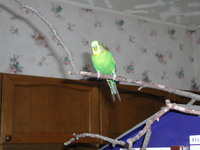 Aufnahmedatum: 2003-03-02 Lucky