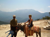 Aufnahmedatum: 2007-07-03